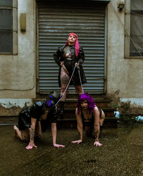 it's important to take your pets for a walk by thekinkfaeriex