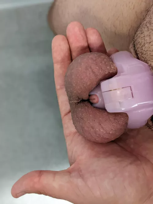 it's just so tiny by No-Alfalfa-5940