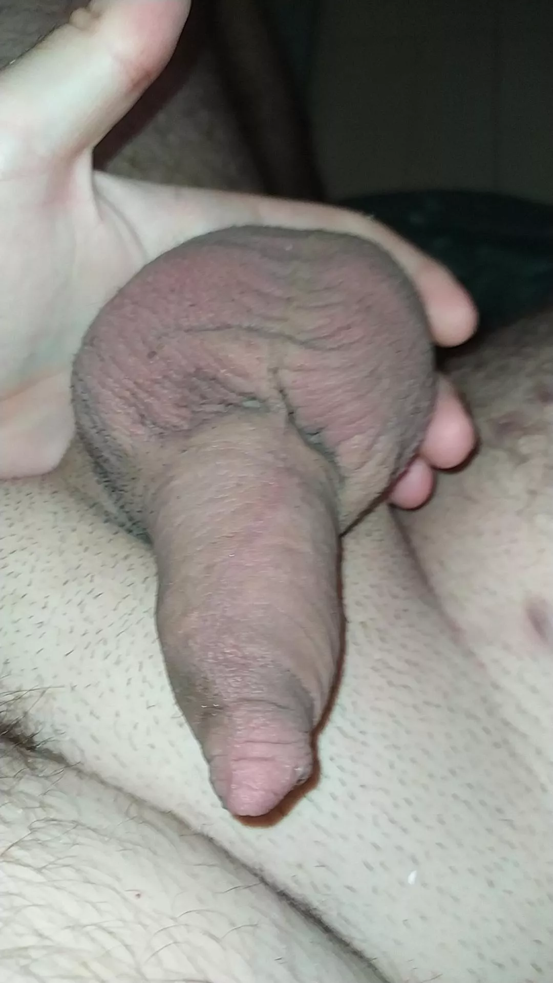 its sleeping posted by Lothsen