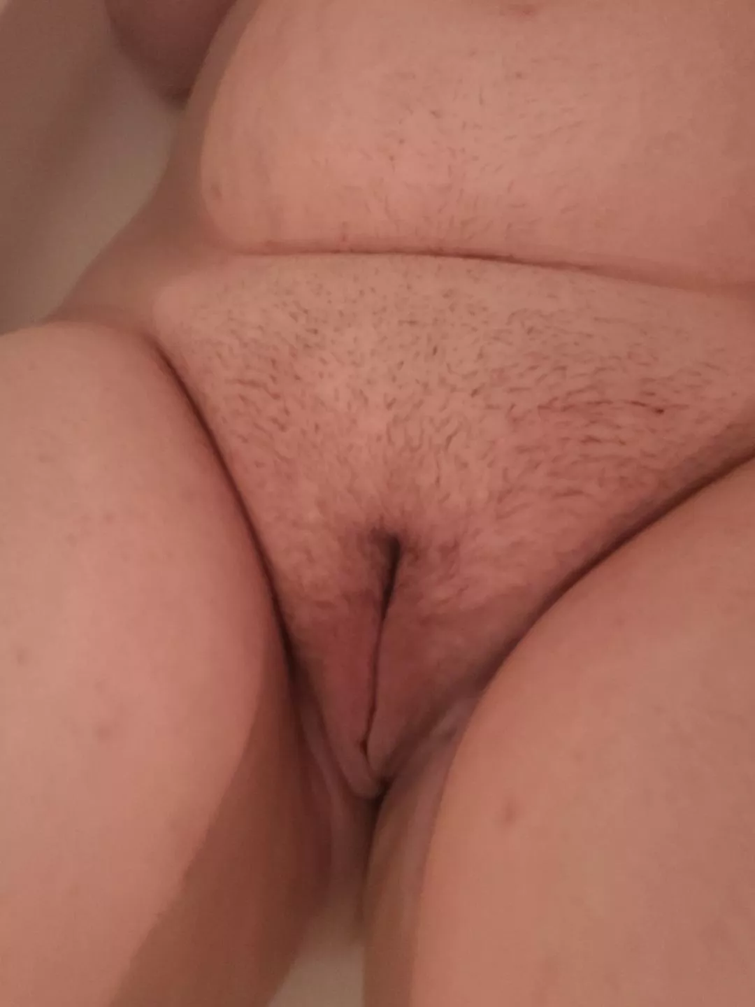 its slowly getting harrier 😍 posted by Knotty-Nyxx