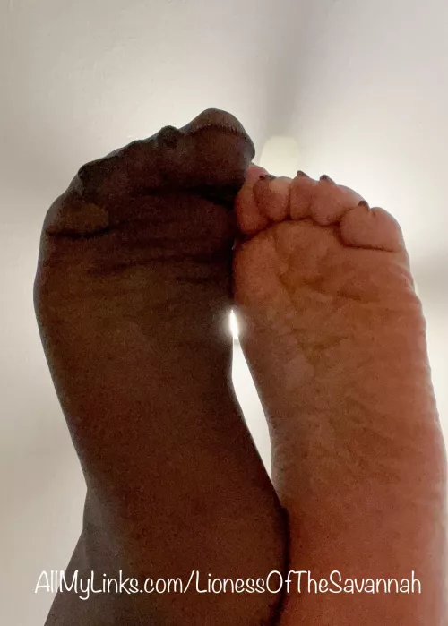 It’s Sole in Stockings Sunday! 😜😋 Who else loves stockings as much as I do?! 🥵😉😏 (F) by Savannahs_Feet