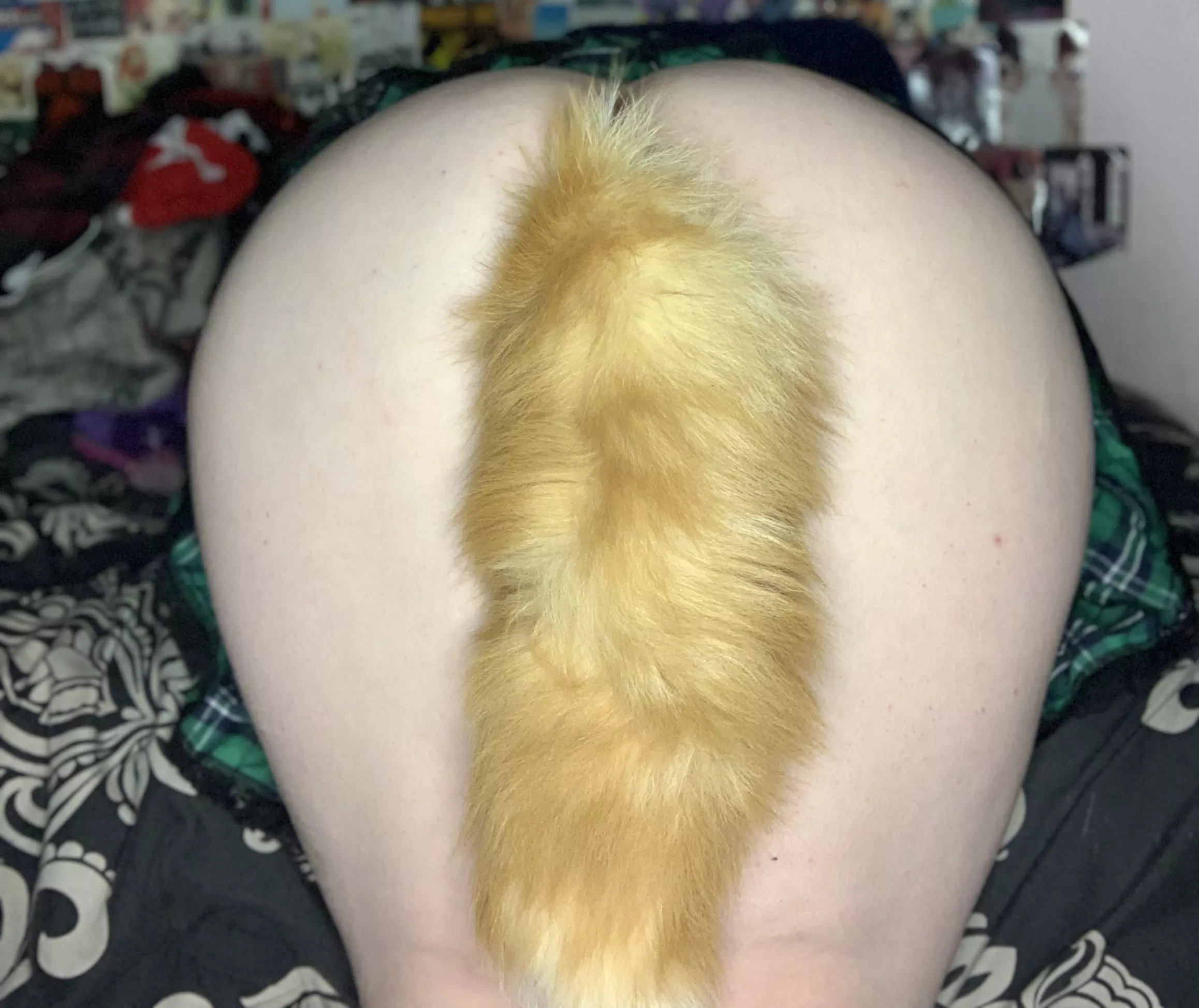 It's spring time, you know what that means when it comes to foxes, right? posted by misslofn