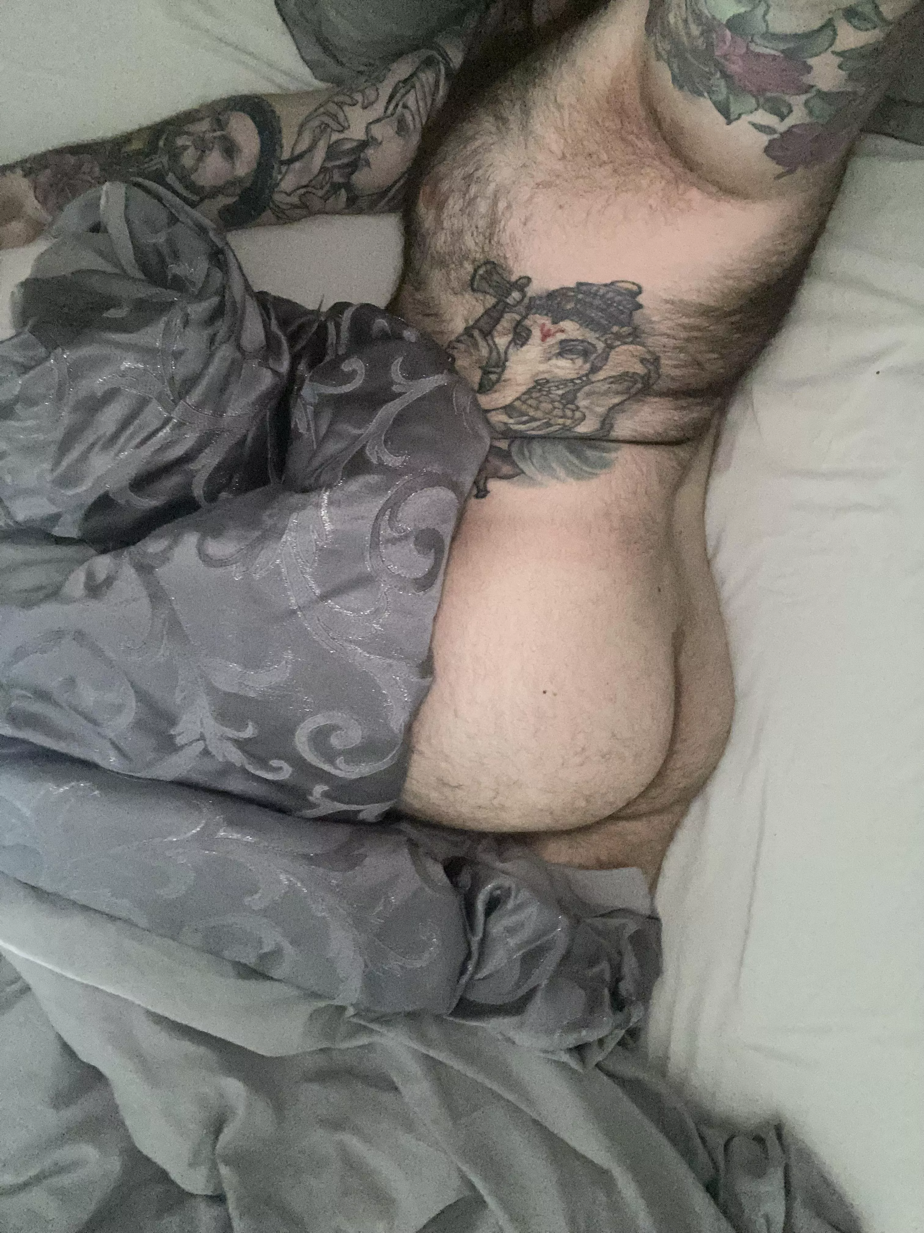 It’s Sunday & I’m hungover. Desperately need a snuggle buddy. posted by Particular-Ad-1085