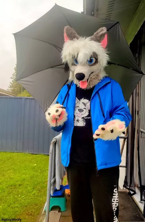 It's wet out here, take my paw and I'll keep you dry. by Bigdogwoofy