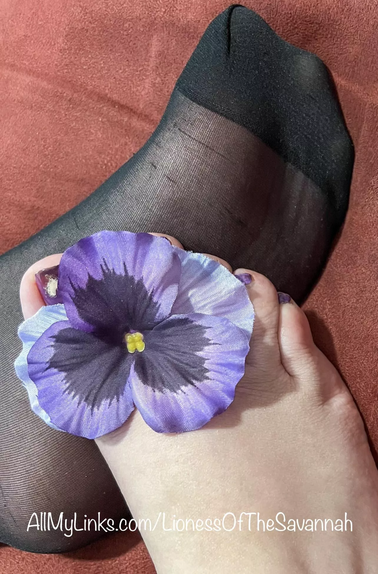 It’s Wrinkly Wednesday 😜😉 You like seeing my soles through my sexy nylon socks? posted by Savannahs_Feet