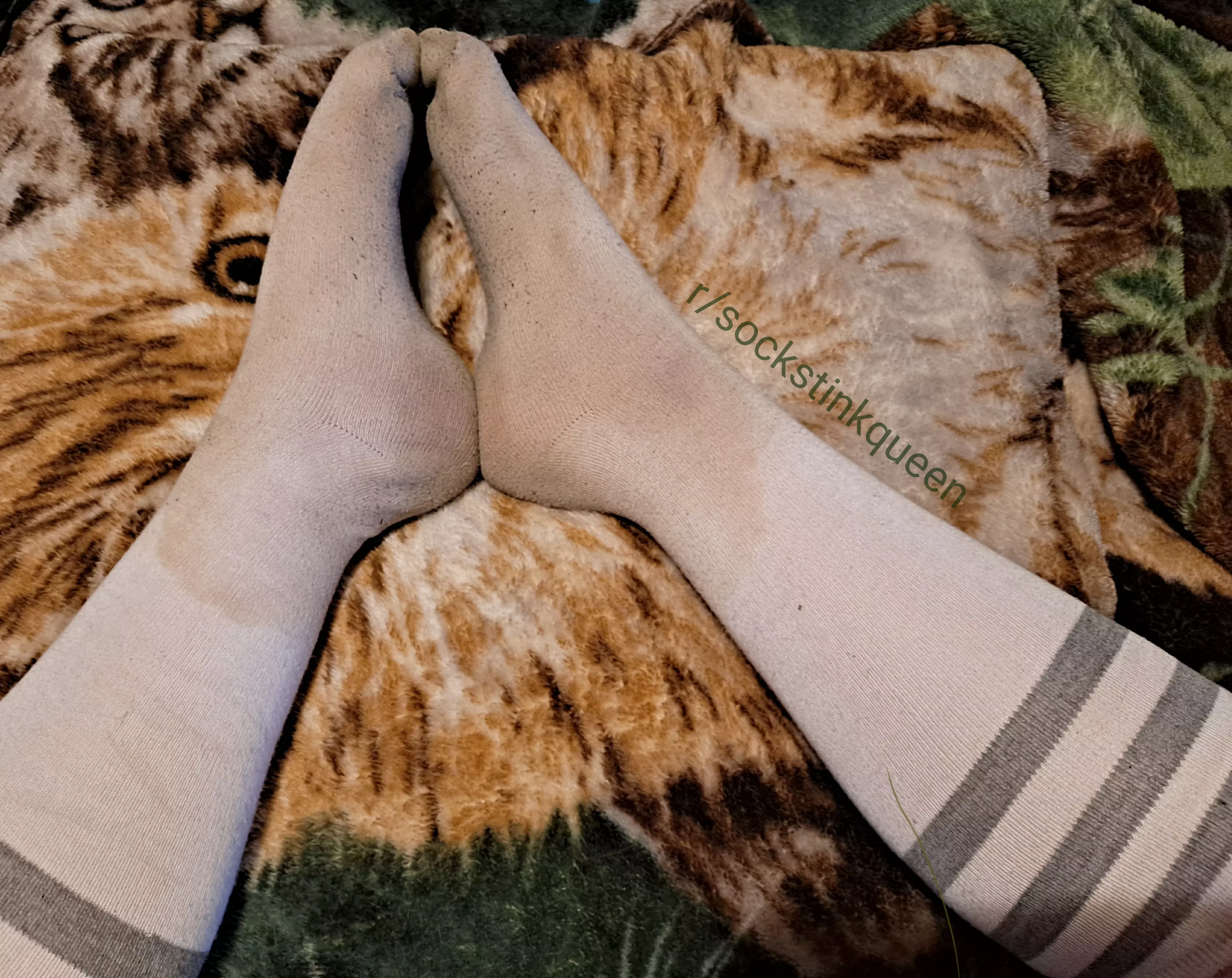 I've been sweating in these for a week and a half! Do you want a pair of your own? ❤ posted by SockStinkQueen