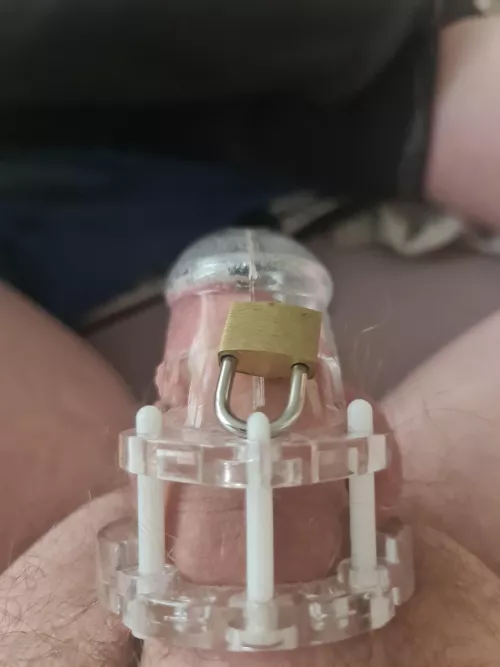 I've been told by my master to go online and get someone else's permission to take off my cage so is anyone feeling generous by throwaway188871