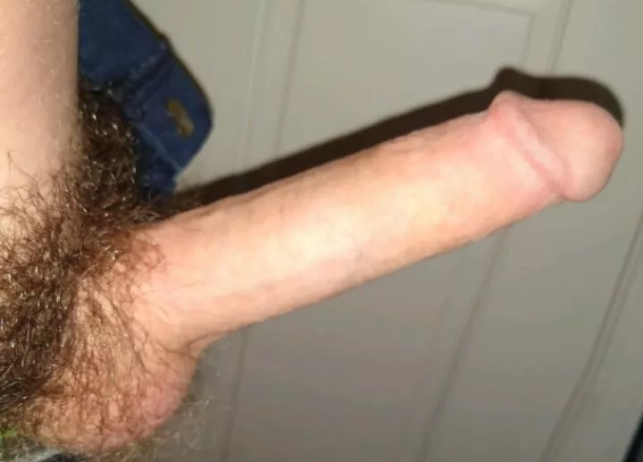 I've been told I got a good bush posted by averagehuman69-420