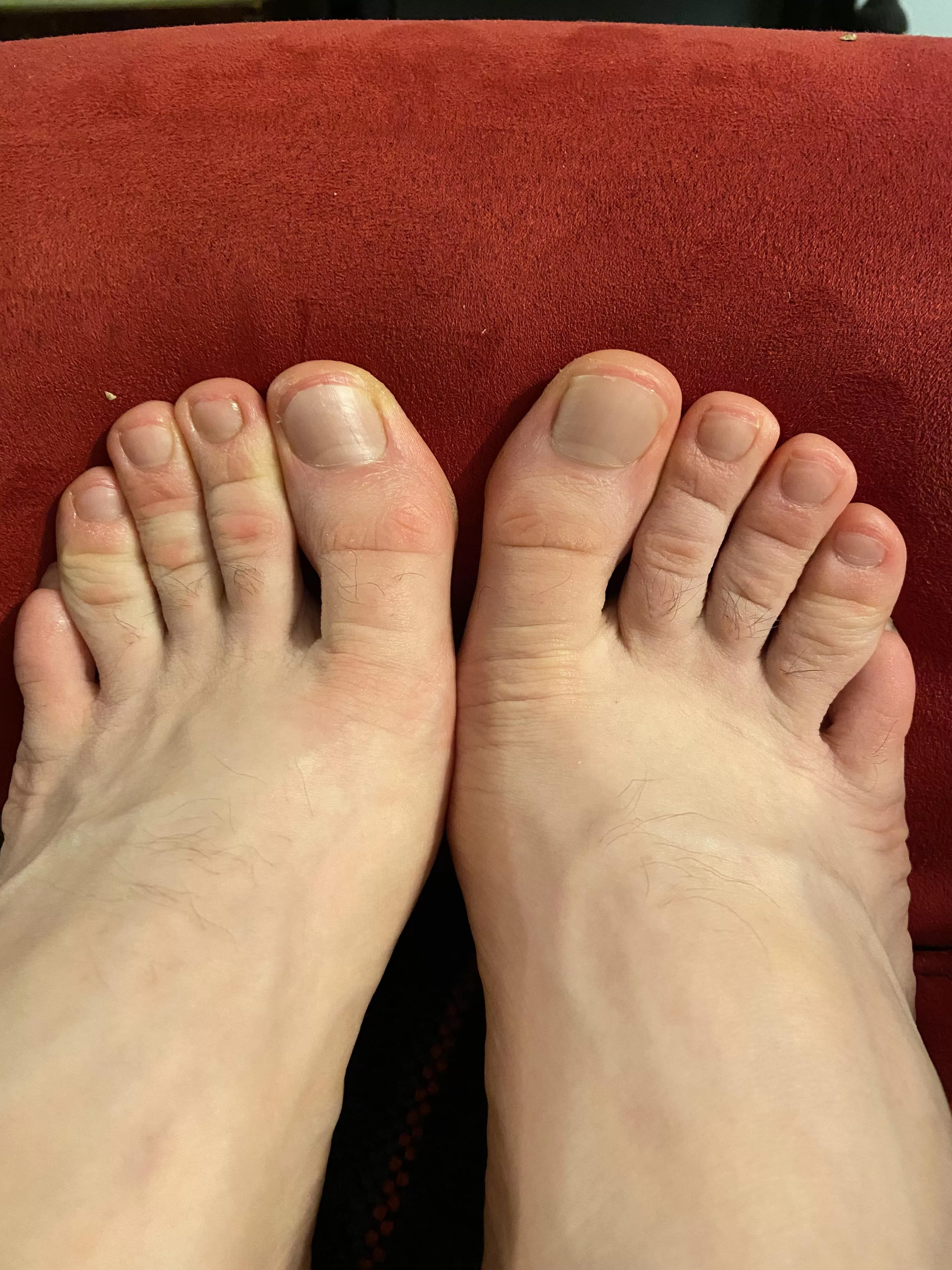 I’ve got 8 little piggies for you to play with, and 2 big ones if you’re good 😉 posted by Daily_Feet_