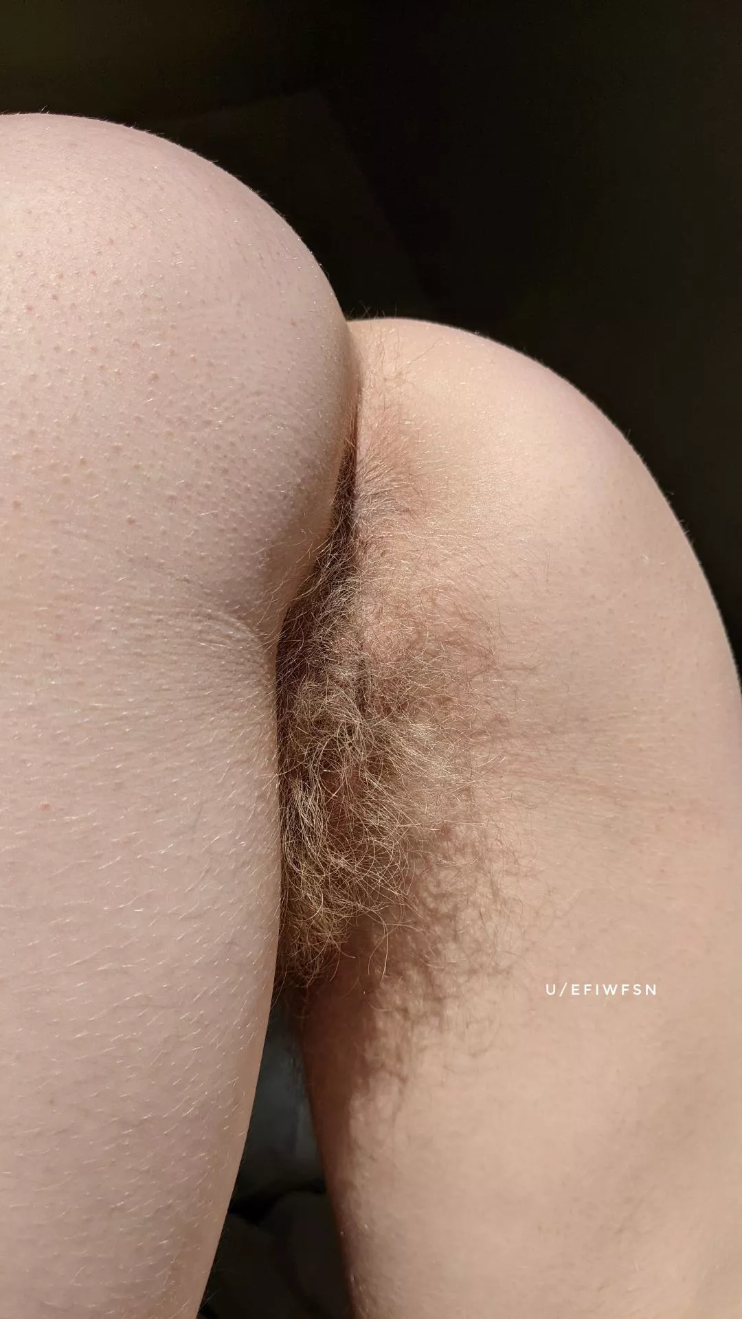 I've got a big rug you can bury your face in posted by efiwfsn