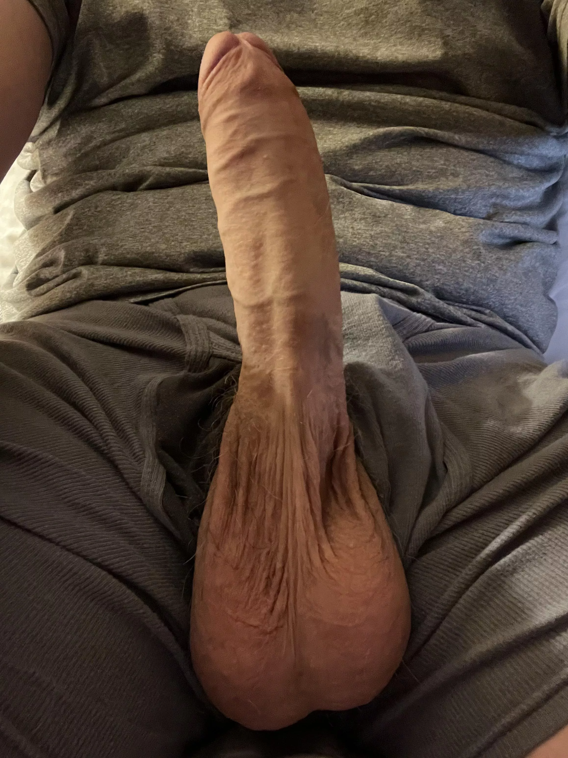 I’ve got a hard cock and I’m ready to rock. posted by ThickNickPicnic
