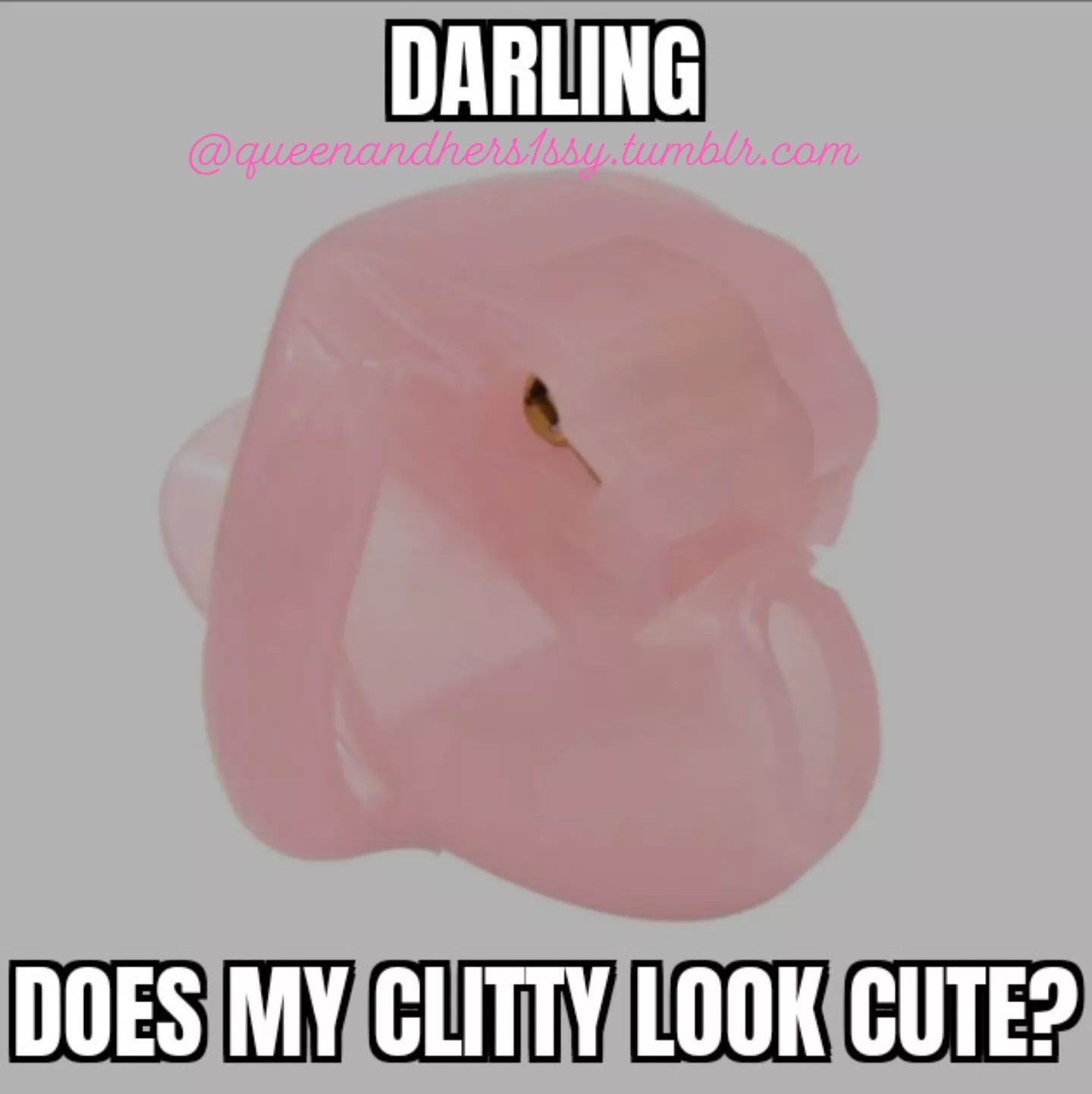 I've got something new to wear. posted by Alarming_Lynx_223