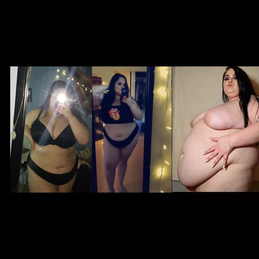 I've grown into such a massive piggy 🐷 posted by Geminijune97