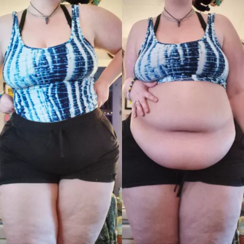 I've secretly been fat this whole time 😊 by some1Uh8