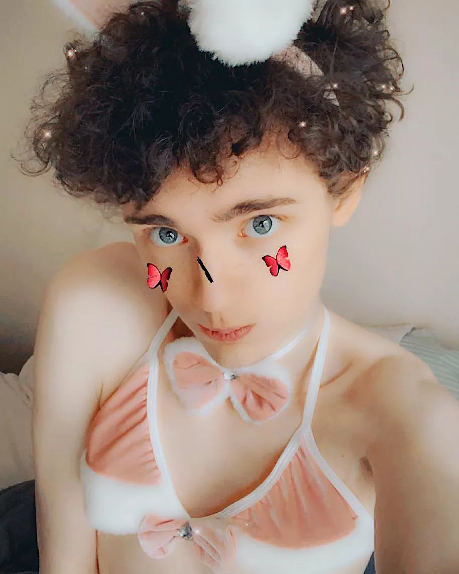 Iz da bunny boi cute enough for cuddles 👉👈 posted by Faeboie