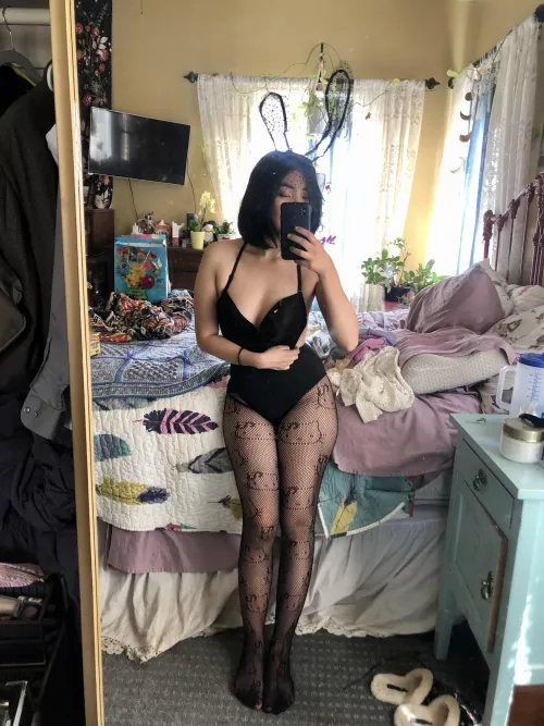 japanese/german bunny by Alluring_Bunny