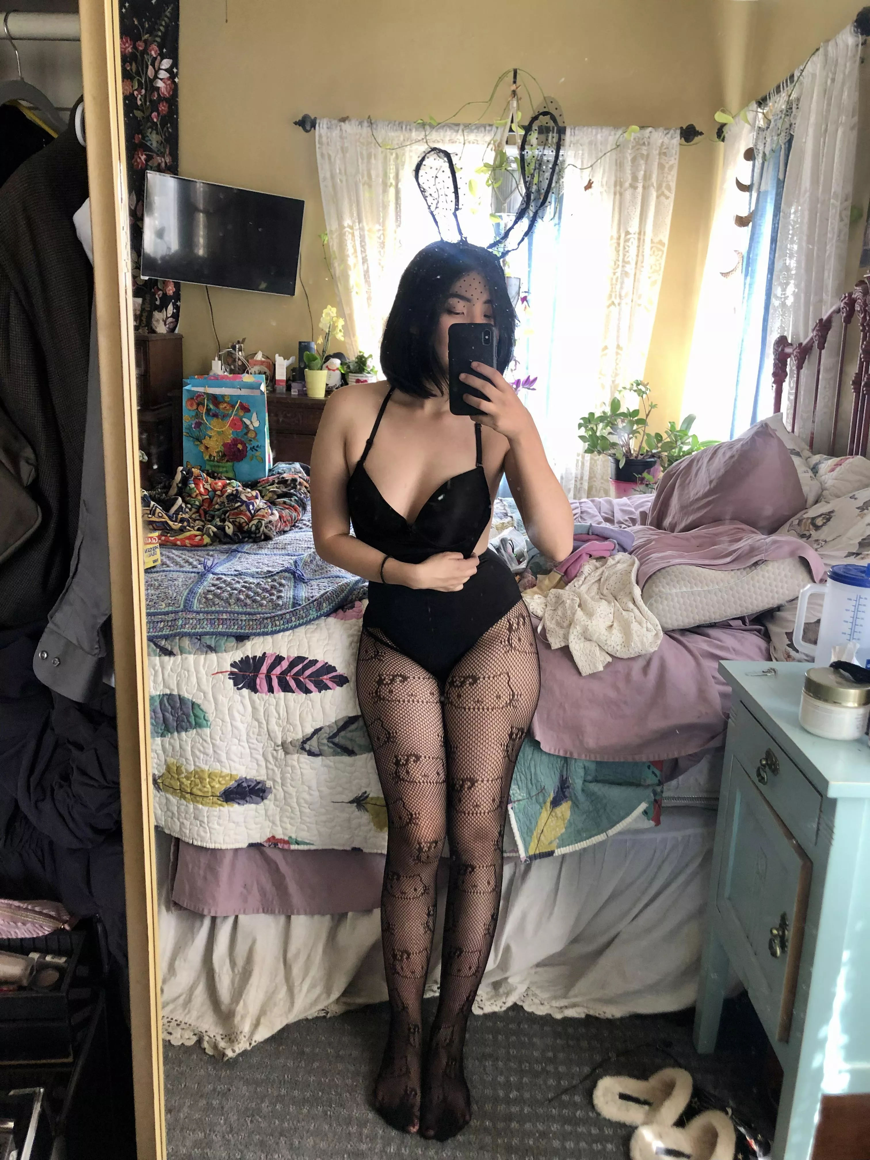 japanese/german bunny posted by Alluring_Bunny