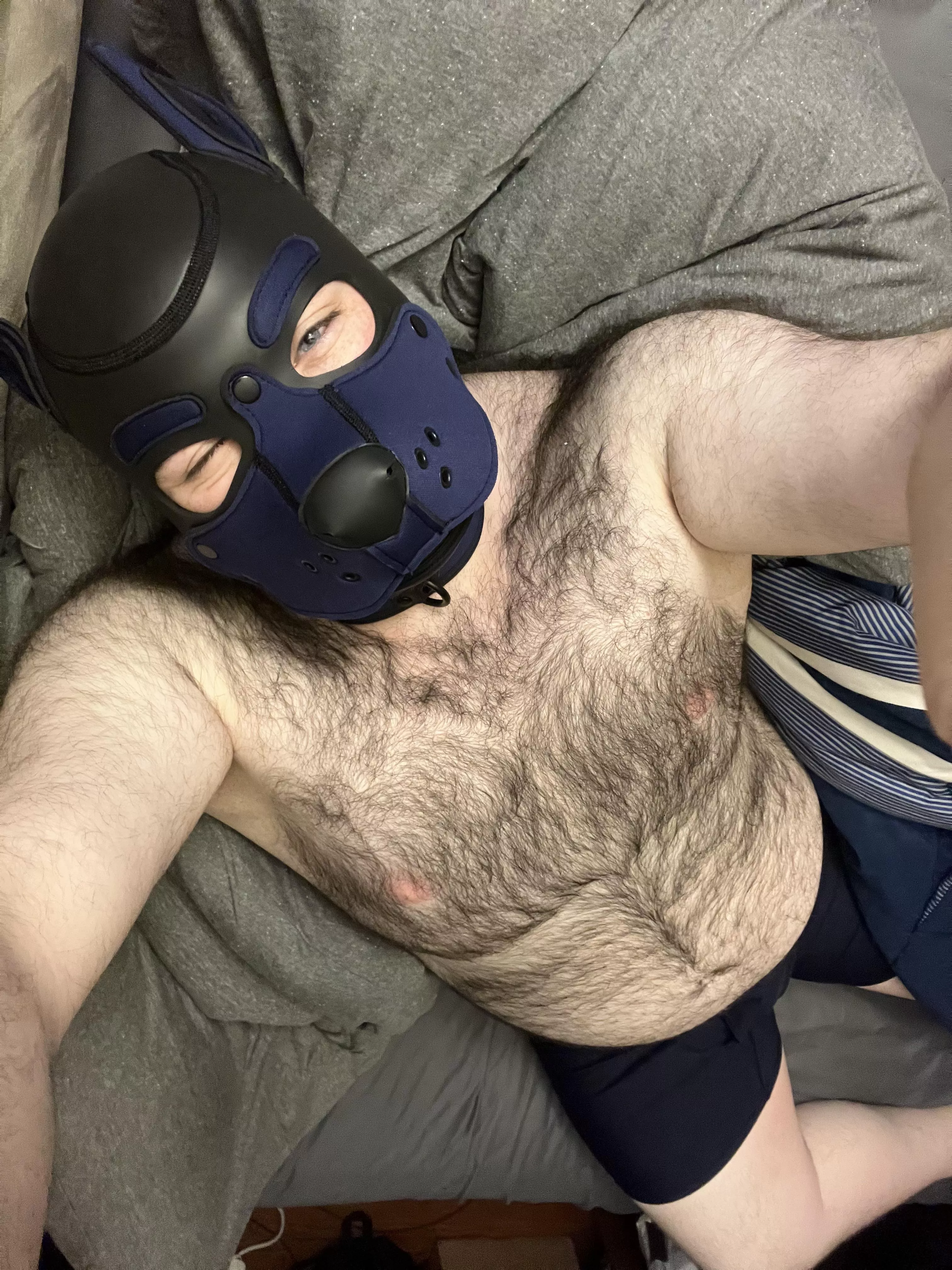 Jax needs cuddles🥺 posted by uuuuuuuuuuuuuuuuuuu