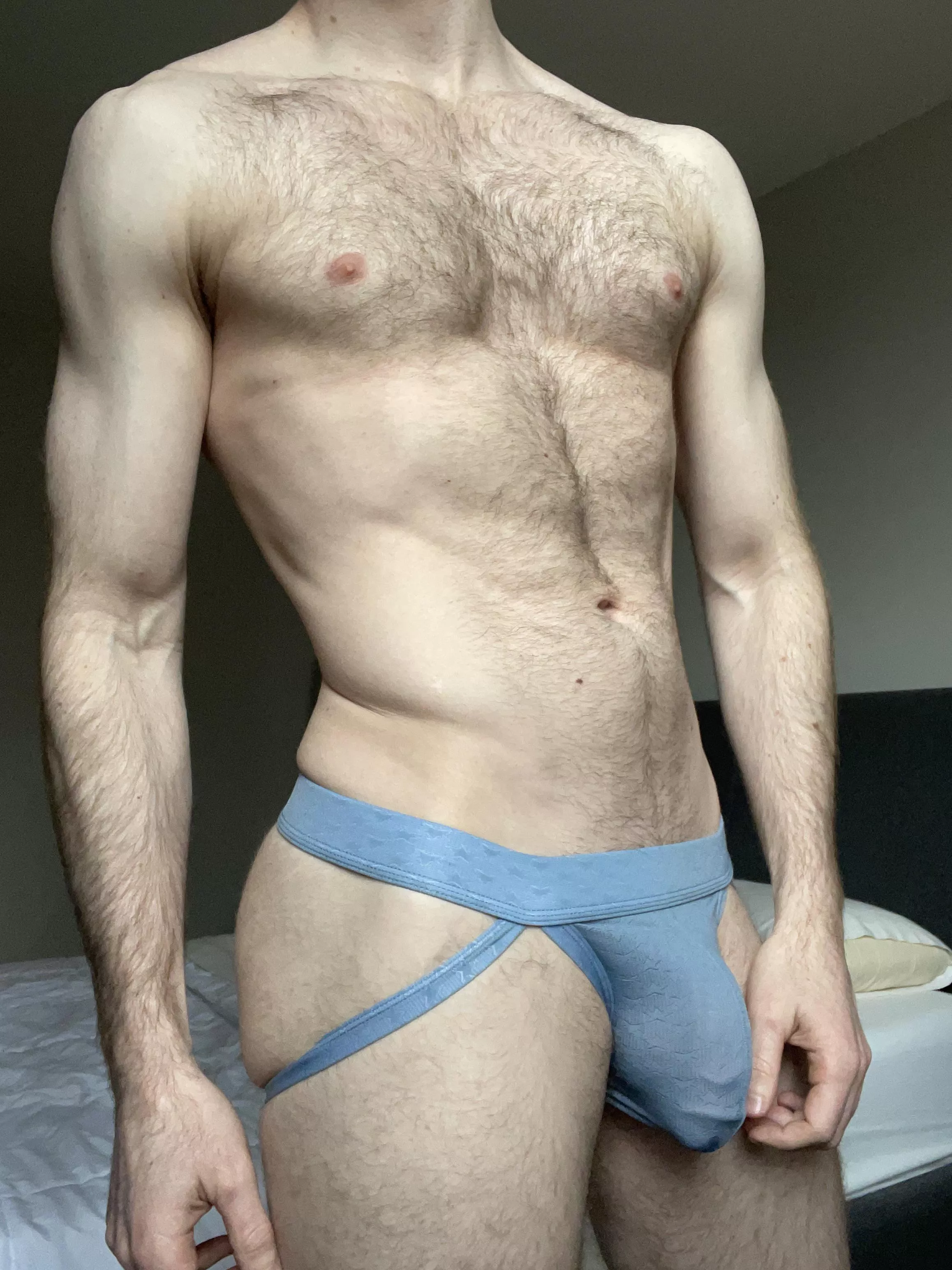 Jockstrap fans? posted by HaydenClearwater