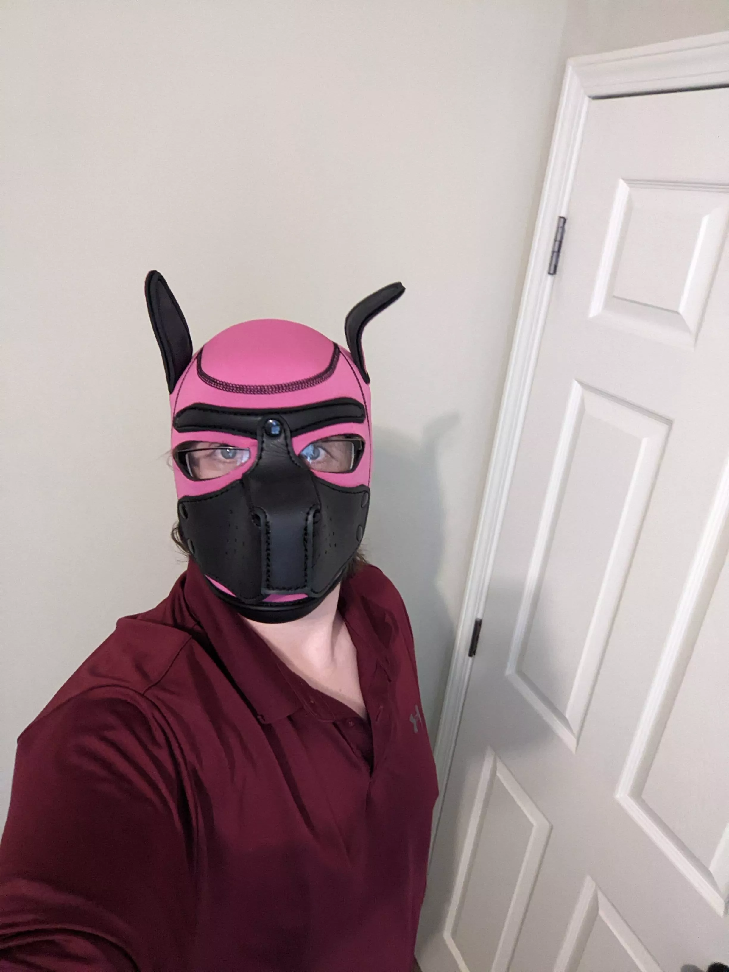 Joined the pack! posted by RevanRed