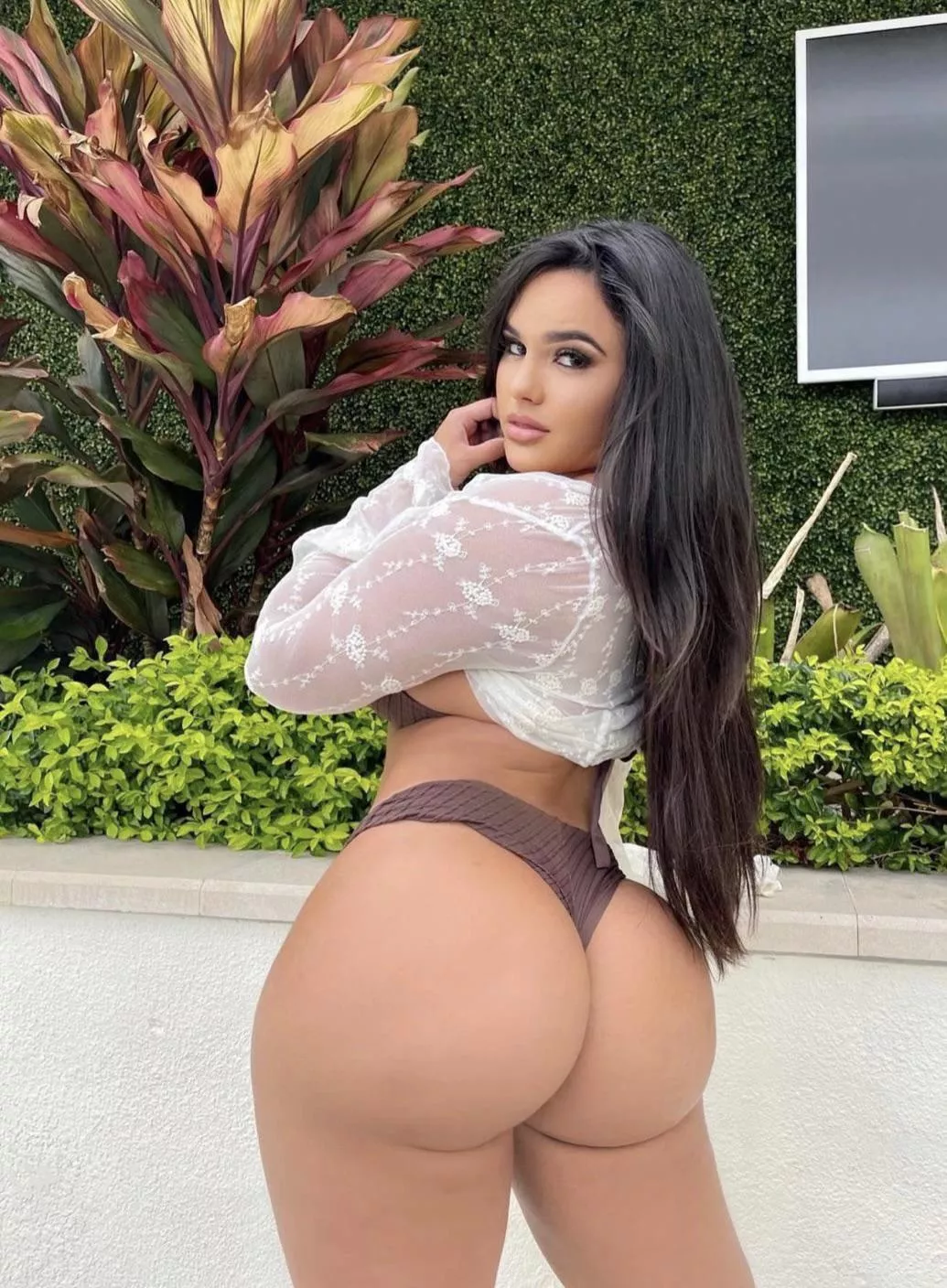 Juicy 🍑 posted by Pit-Master