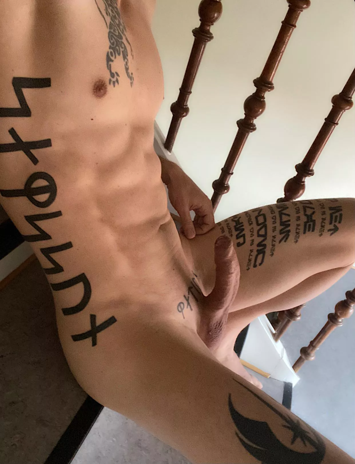 Jump on for a ride? posted by GreatDane85