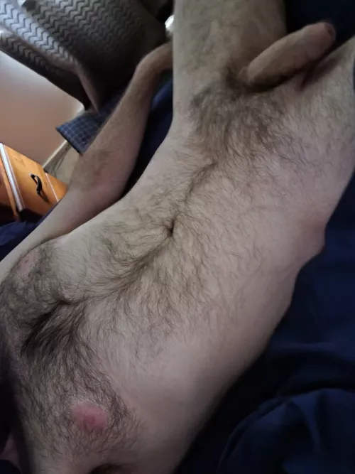 Just a bear hunting for a hole by Adwyer88