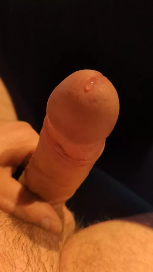 just a bit of precum by averagDick