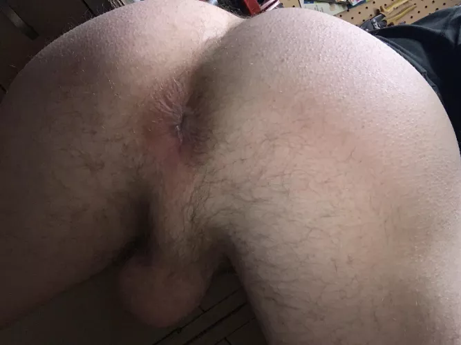Just a Cum hungry cubs hole ready for bear daddies to breed. by Any_Emergency9292