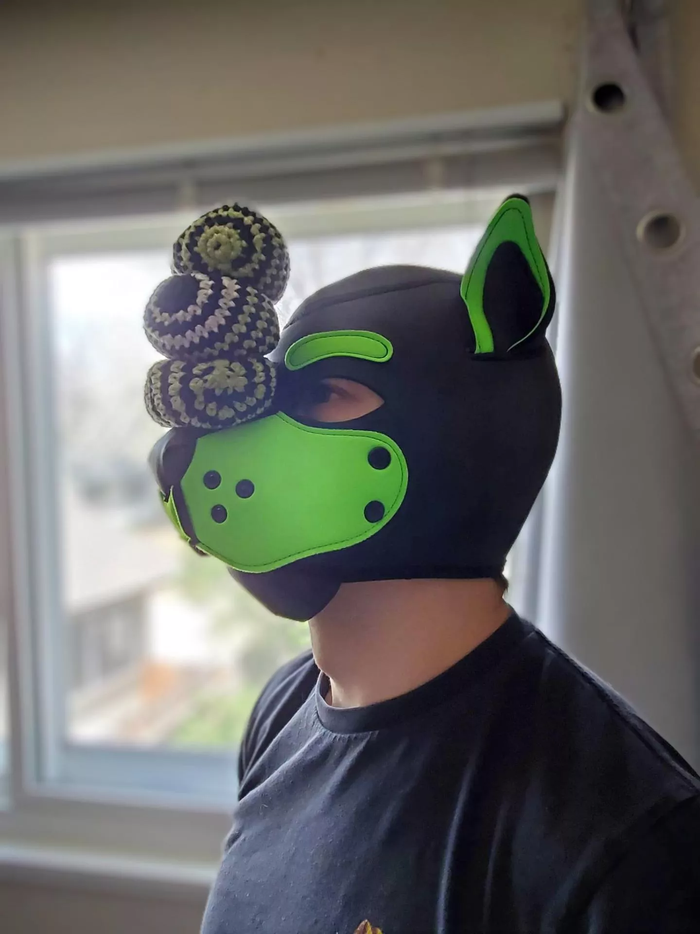 Just a dog with some balls 🤣 posted by DoodTheDoggo