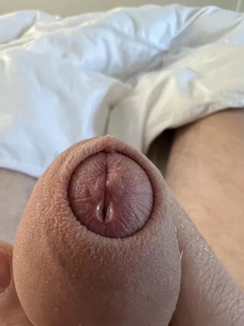 Just a drop by PDVW21