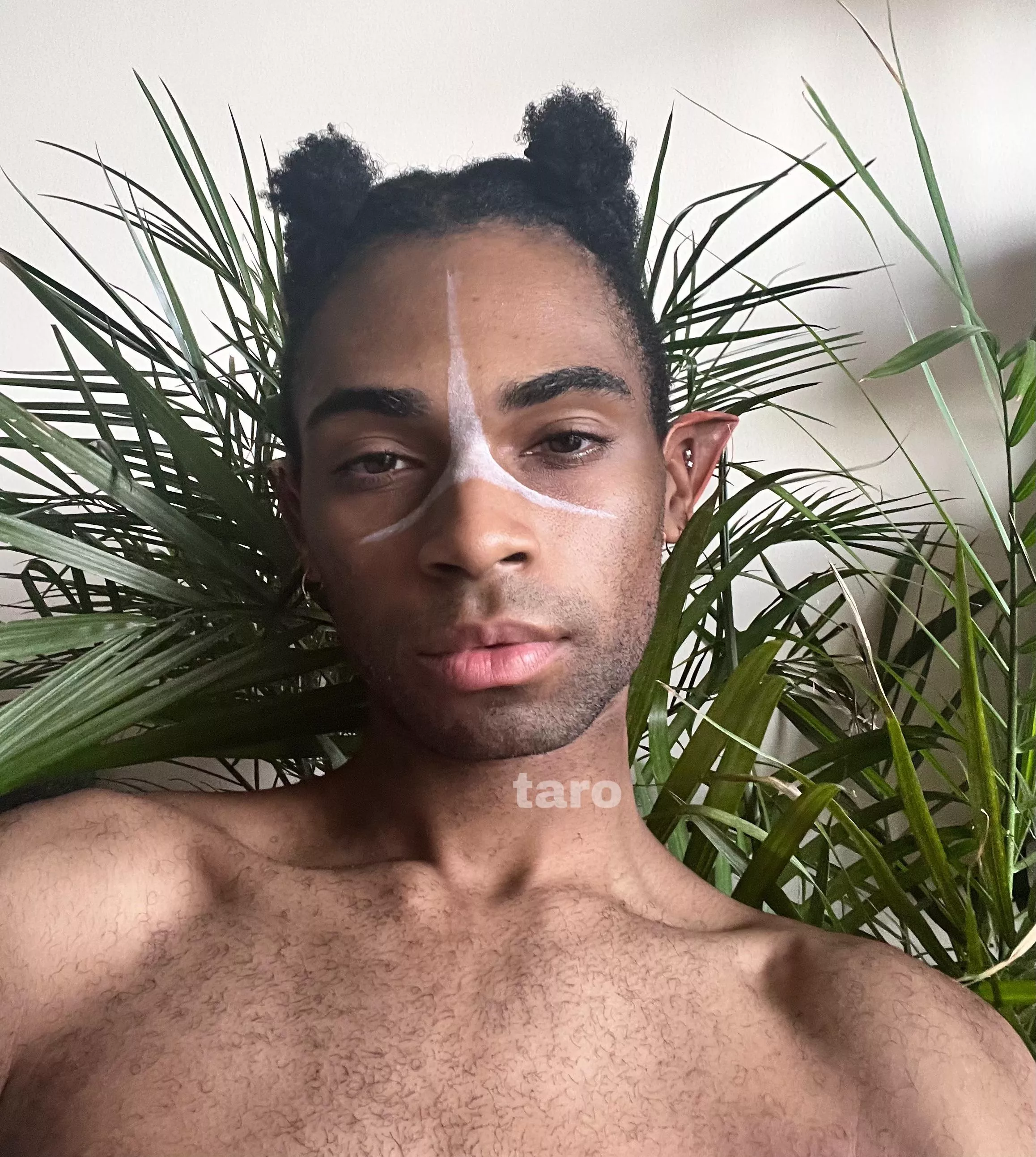 Just a fantasy elf wondering through posted by tarotaroboba