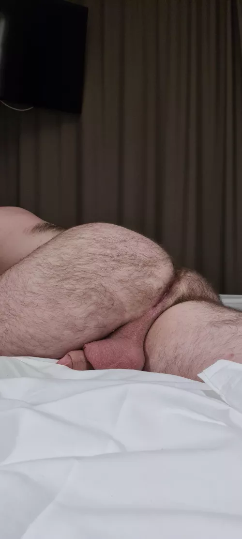 Just a hairy ass from behind by Descechito