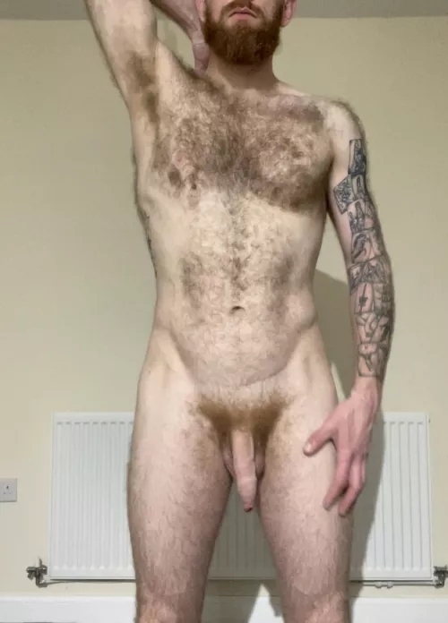 Just a hairy guy with his cock out and puts on show! by gbrad1983