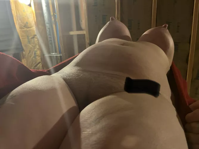 Just a little engorged! by Visible-Ad5744