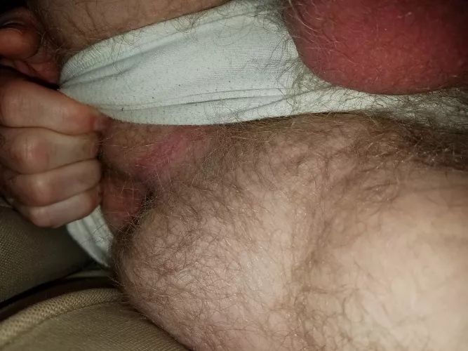 just a peek by PupNimrod