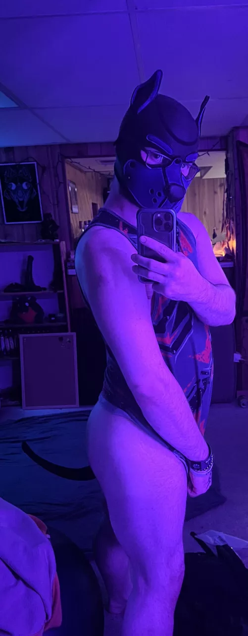 Just a pup havin a lil fun and showin off Awrruff! by Roscuv