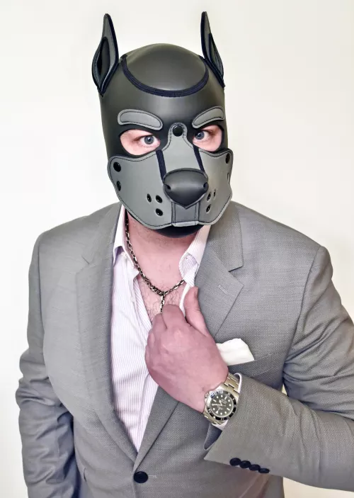 Just a pupfessional woofy 🐺 by PupPlatinum