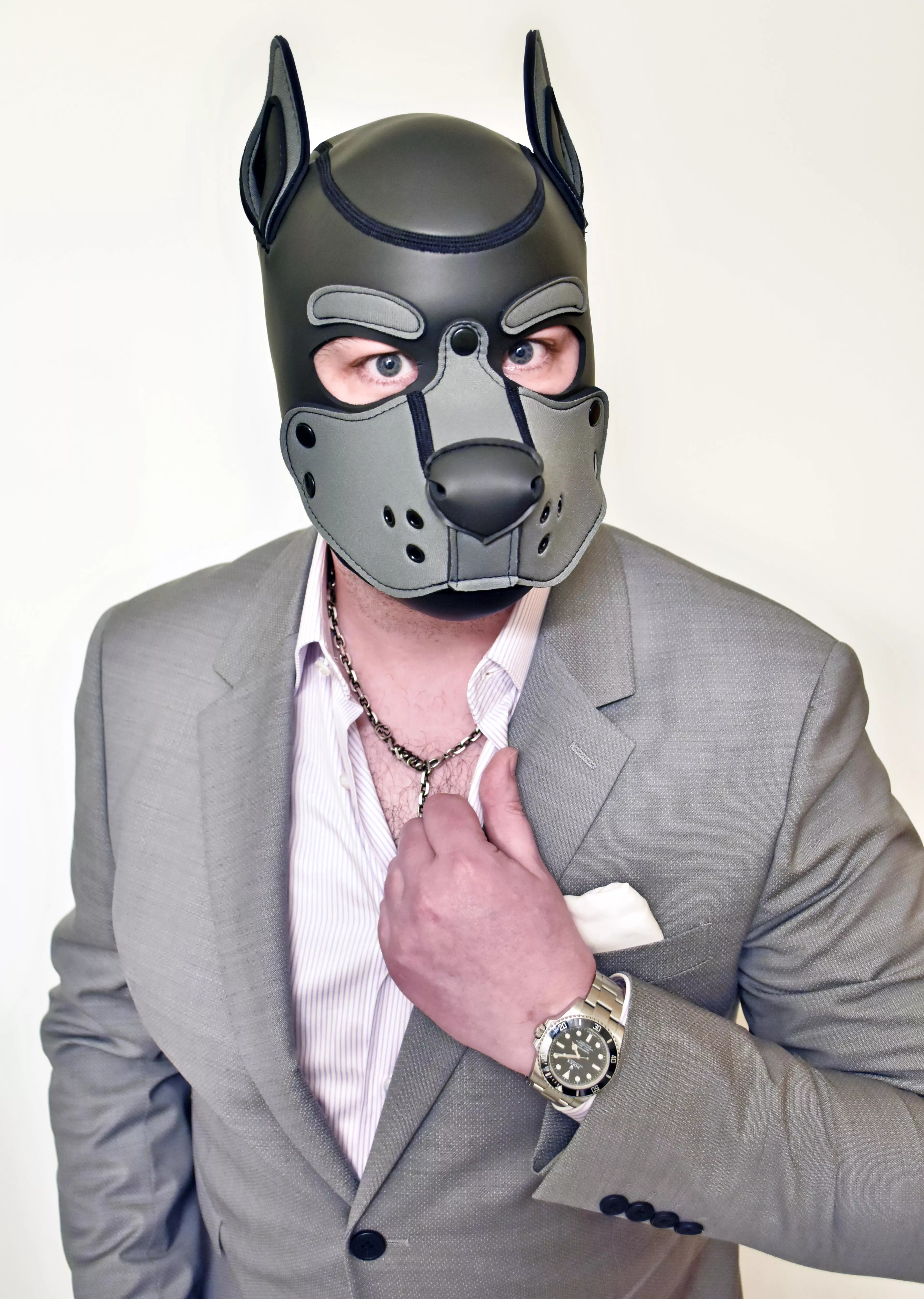 Just a pupfessional woofy 🐺 posted by PupPlatinum