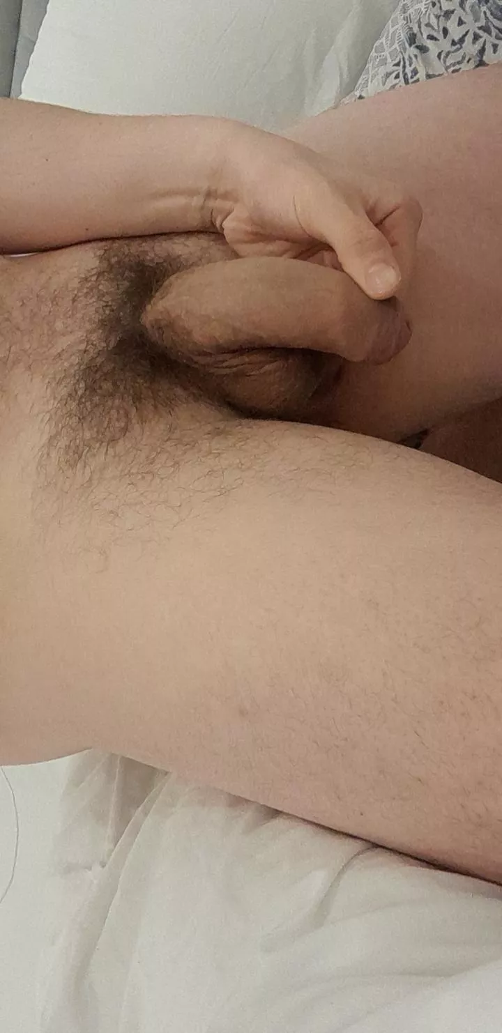 Just a relaxed evening with a relaxed penis.... posted by Responsible_Desk6530