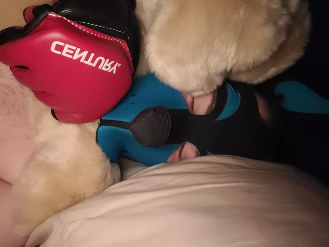 Just a snuggly puppers with his stuffy. by Copper_Paws