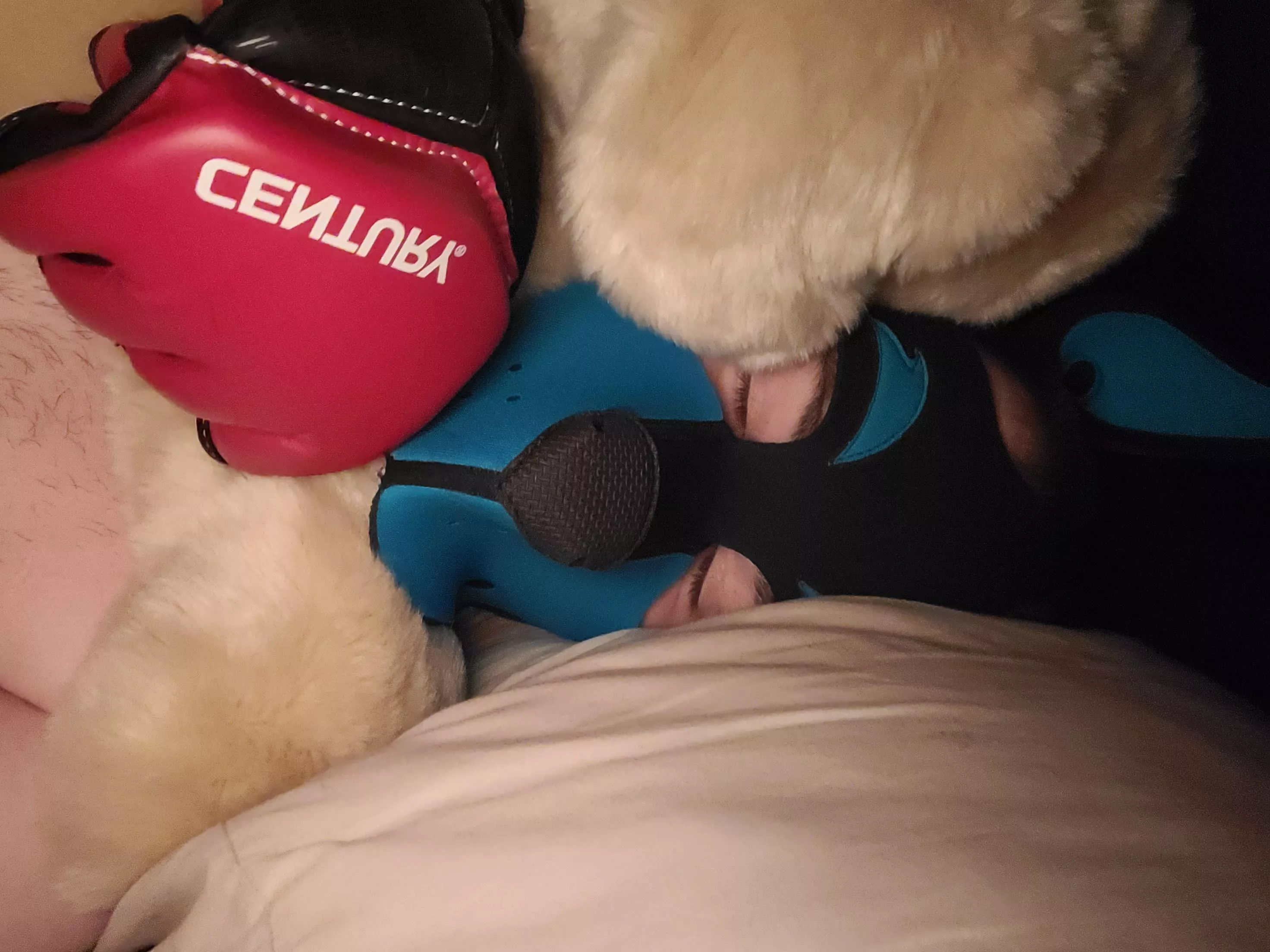 Just a snuggly puppers with his stuffy. posted by Copper_Paws