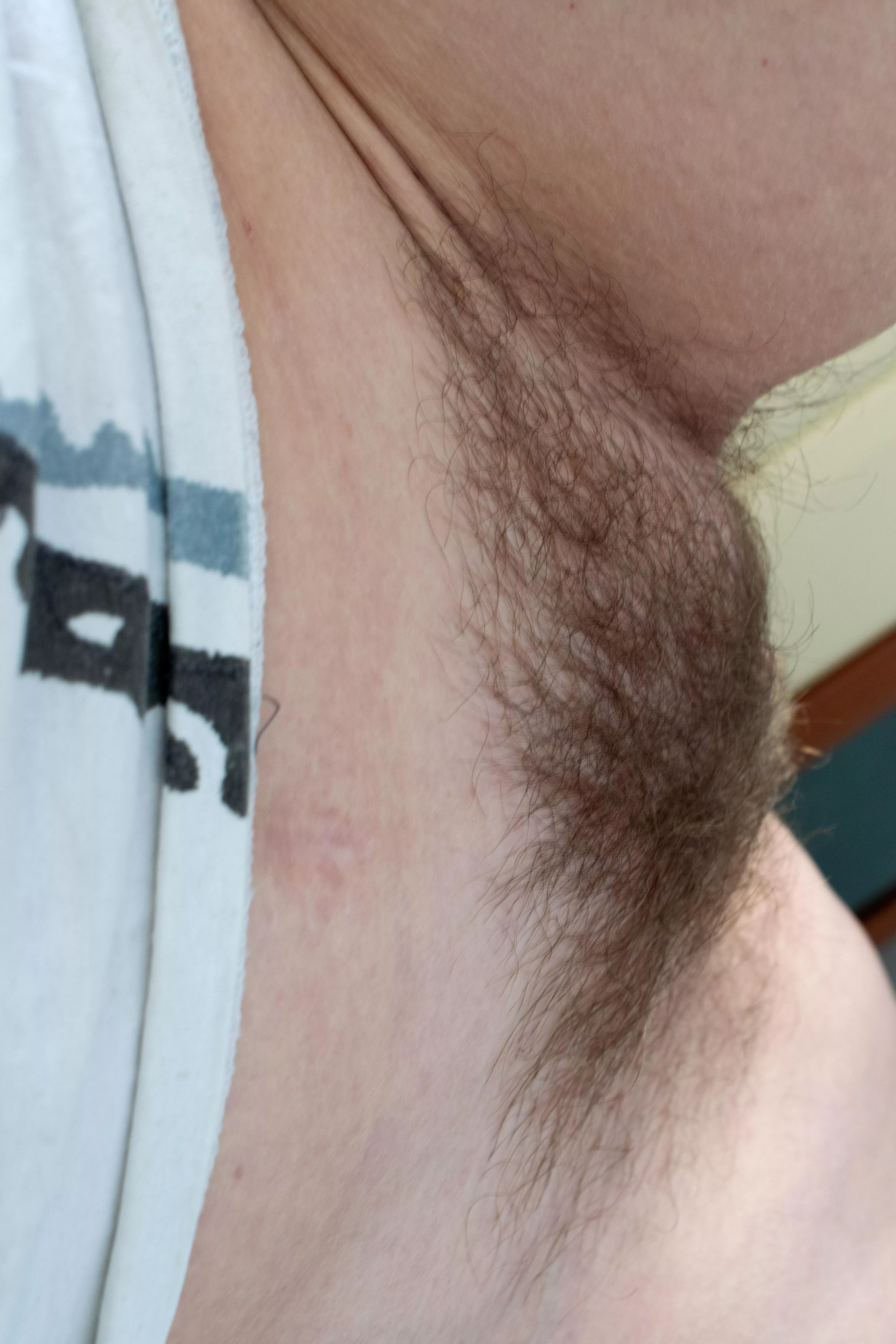 Just bush posted by Pleasant-Prune-9776