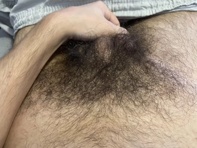 Just bush… by sminty2000