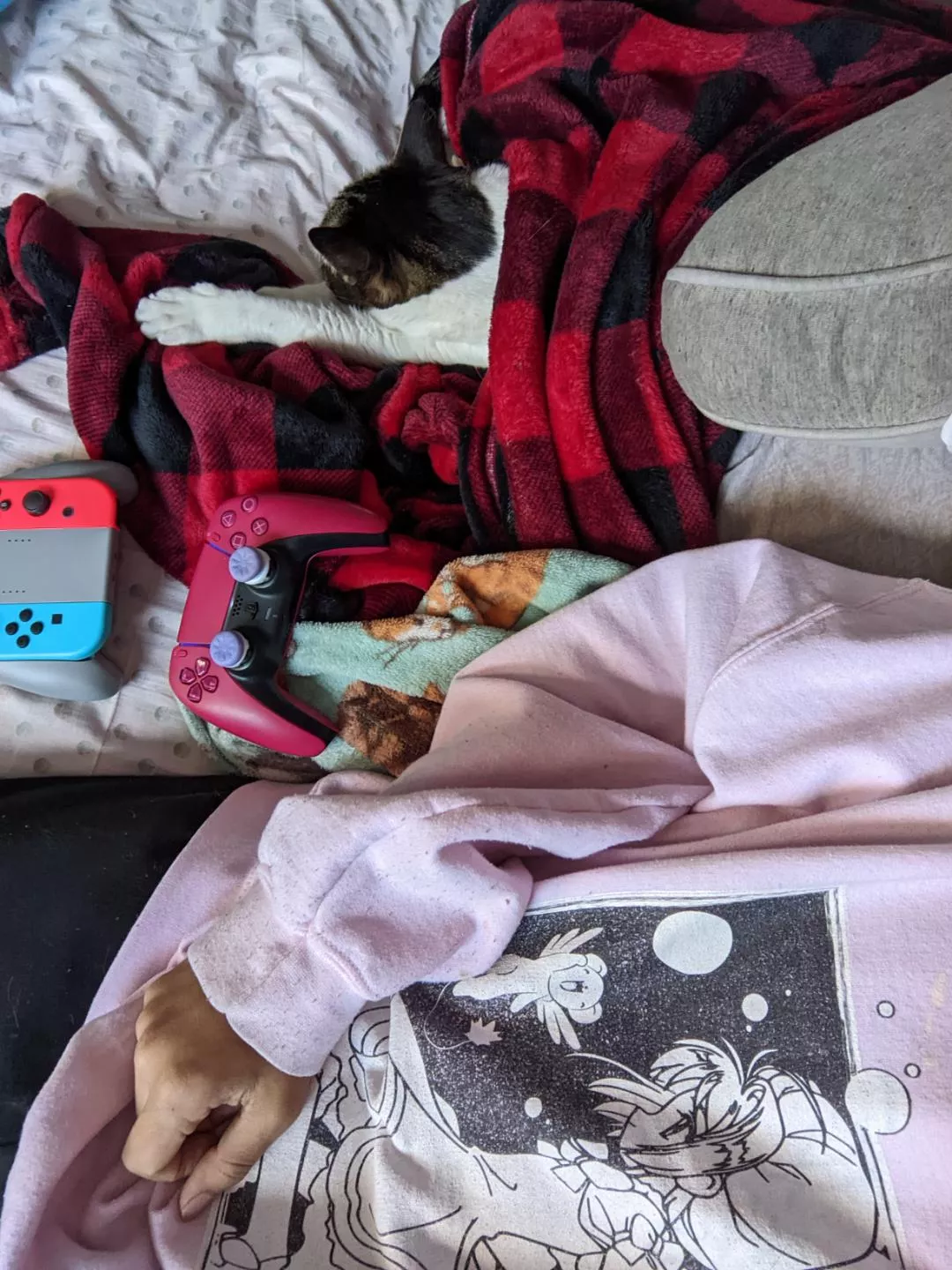 Just chillin with one of my kitties, feeling kinda lonely lately. Hoping someone will chat with me posted by strechedgaymer