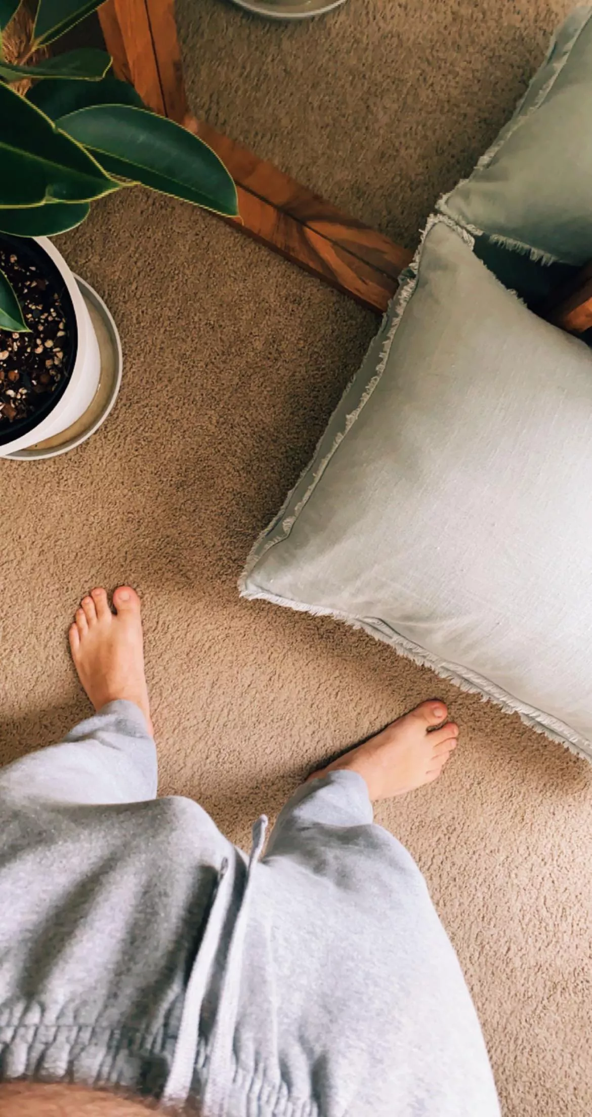 Just enough for the imagination posted by user4749291