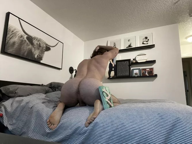 Just finished my latest book! Tell the Wolves I’m Home by mrmessi