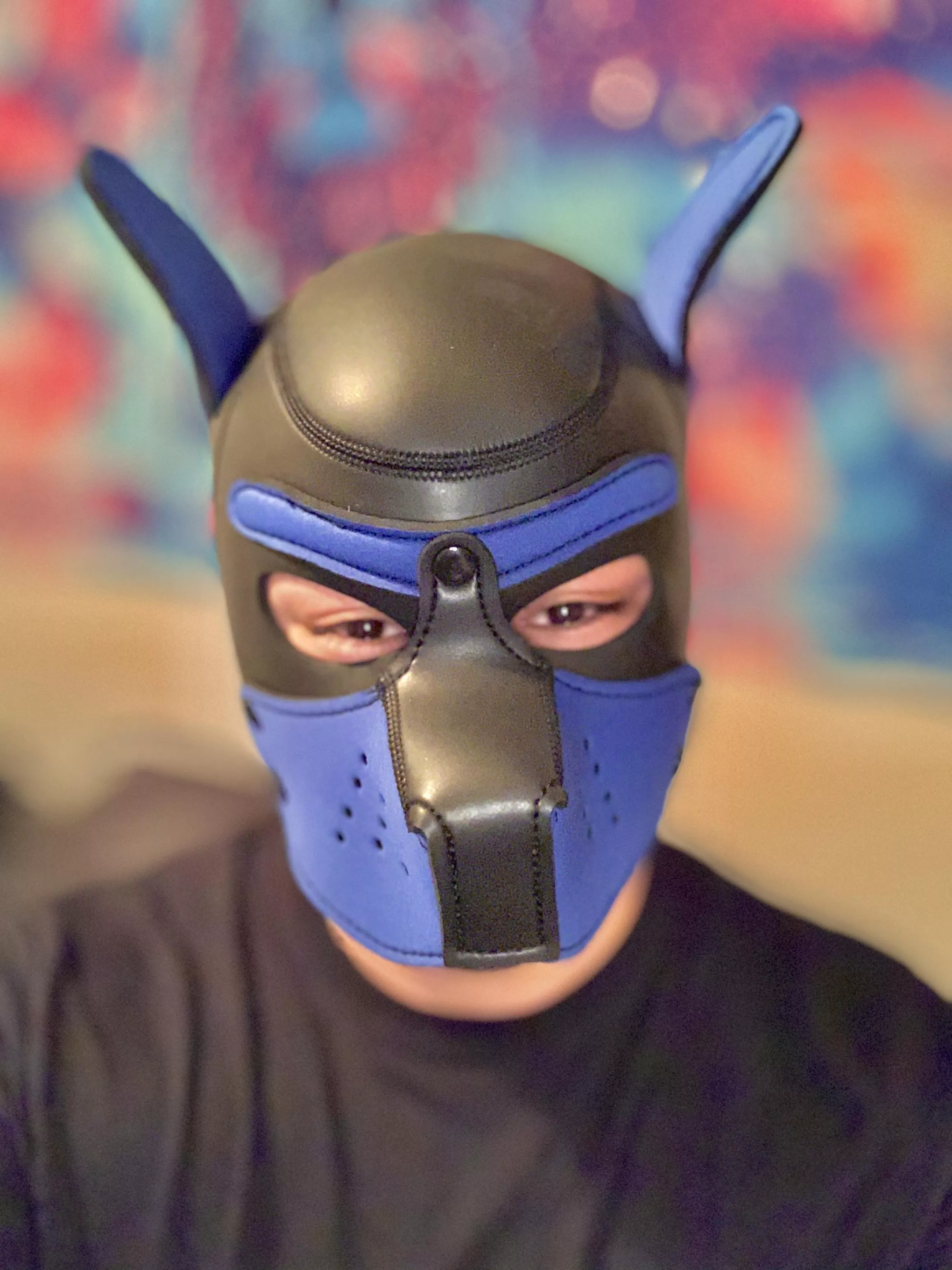 Just getting my paws wet 🐾 posted by Proud_Application908