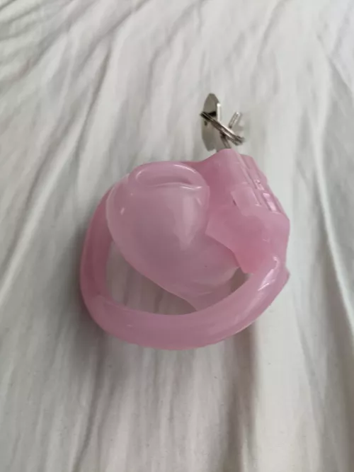 Just got an even tinier cage for my clitty 🤤, but it's so small I'm scared to try it on. Who wants to make me do it 😈 by BubbIeButtBottomSIut