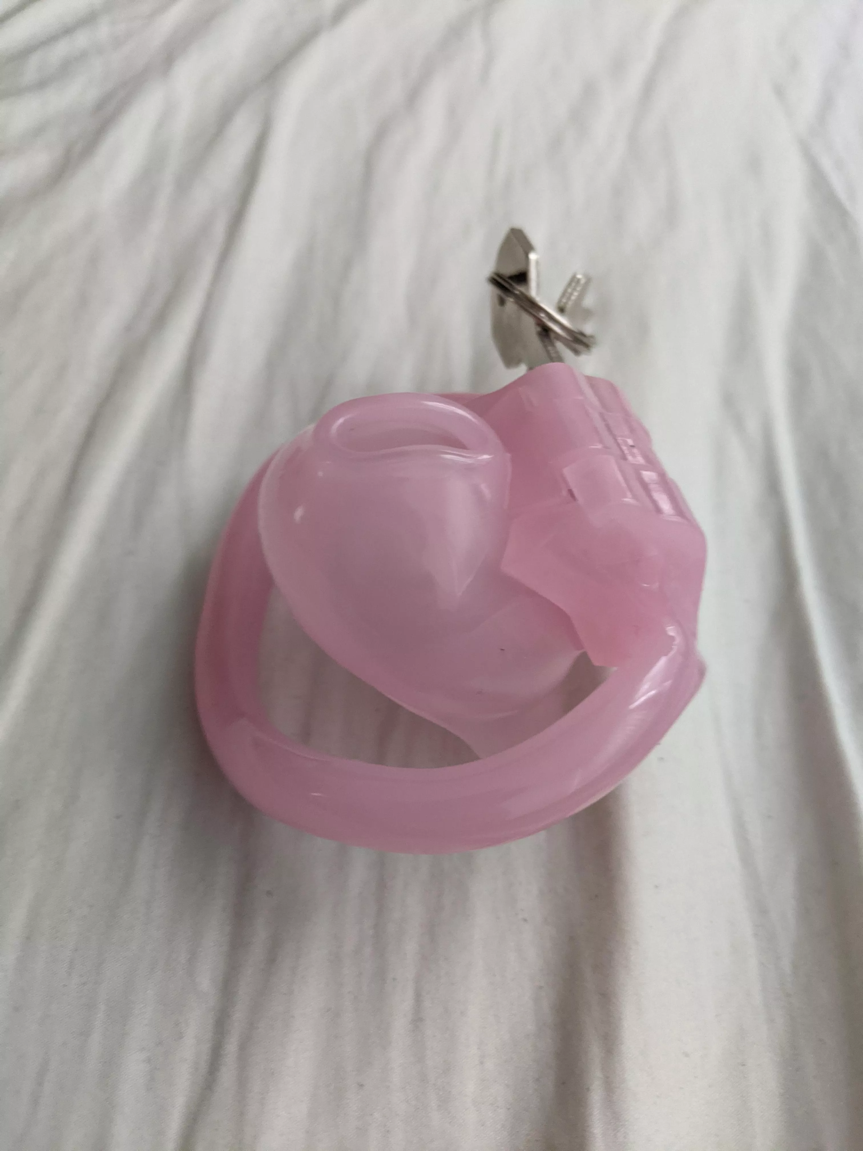 Just got an even tinier cage for my clitty 🤤, but it's so small I'm scared to try it on. Who wants to make me do it 😈 posted by BubbIeButtBottomSIut